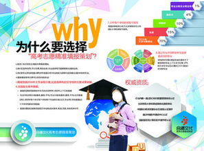 高效志愿填报指南 免费素材下载与模板使用